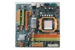 TForce 6100 AM2 Mainboard mit Grafik