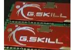 GSkill F2-6400CL5D-2GBNQ