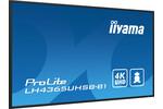 iiyama Prolite LH4365UHSB-B1 Monitor