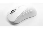 Delux M900 Pro Mouse