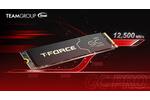 Teamgroup T-Force GC PRO PCIe 50 SSD