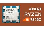 AMD Ryzen 5 9600X